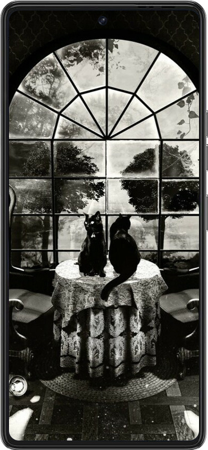 Силиконовый чехол Череп и коты для Tecno Pova 6 Pro - 6432u-3689 изображение 