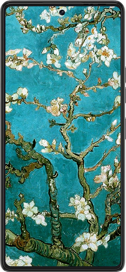 Силиконовый чехол Винсент Ван Гог. Сакура для Tecno Pova 6 Pro - 841u-3689 изображение 