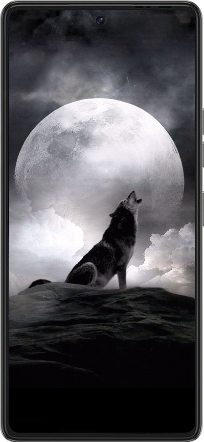 Силиконовый чехол Воющий волк для Tecno Pova 6 Pro - 934u-3689 изображение 