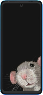 Силиконовый чехол The Peeking Rat для Tecno Pova Neo 2 LG6n - 6442u-2968 изображение 