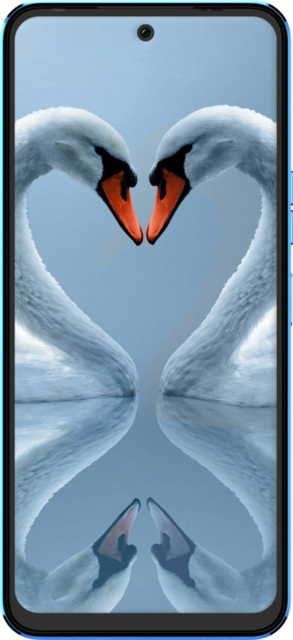 Силиконовый чехол Лебеди для Tecno Pova Neo 2 LG6n - 6007u-2968 изображение 