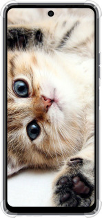 Силикон с усиленными углами чехол Котик для Tecno Spark 10 Pro - 6024sp-3022 изображение 