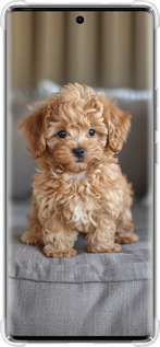Силикон с усиленными углами чехол Mini-maltipoo для Tecno Spark 20 Pro+ - 6158sp-3663 изображение 
