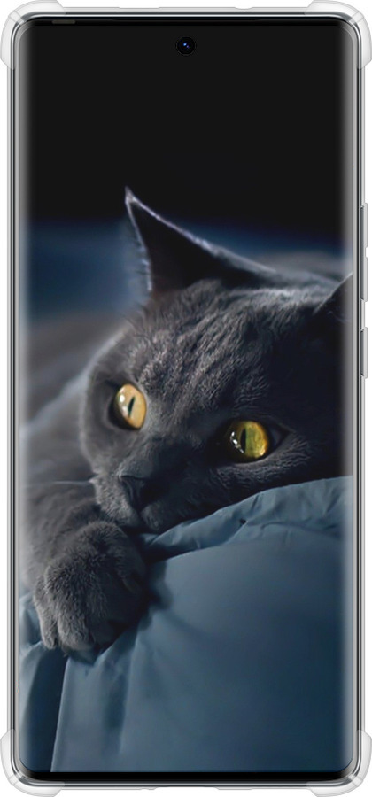 Силикон с усиленными углами чехол Дымчатый кот для Tecno Spark 20 Pro+ - 825sp-3663 изображение 