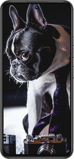 Силиконовый чехол Бульдог-фотограф для Tecno Spark 30 Pro 4G - 142u-3895 изображение 