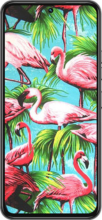 Силиконовый чехол Tropical background для Tecno Spark 30 Pro 4G - 4016u-3895 изображение 