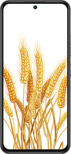 Силиконовый чехол Колоски пшеници для Tecno Spark 30 Pro 4G - 5866u-3895 изображение 