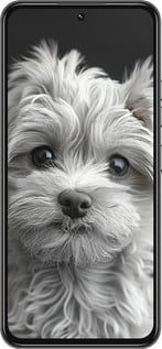 Силіконовий чехол Мальтипу на чорному фоні для Tecno Spark 30 Pro 4G - 6156u-3895 изображение 