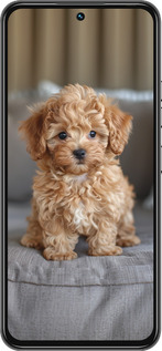 Силиконовый чехол Mini-maltipoo для Tecno Spark 30 Pro 4G - 6158u-3895 изображение 