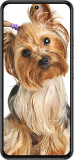 Силиконовый чехол Йоркширский терьер с хвостиком для Tecno Spark 30 Pro 4G - 930u-3895 изображение 