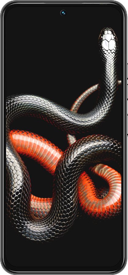 Силіконовий чехол Червоно-чорна змія на чорному фоні для Tecno Spark 30 Pro 4G - 4063u-3895 изображение 