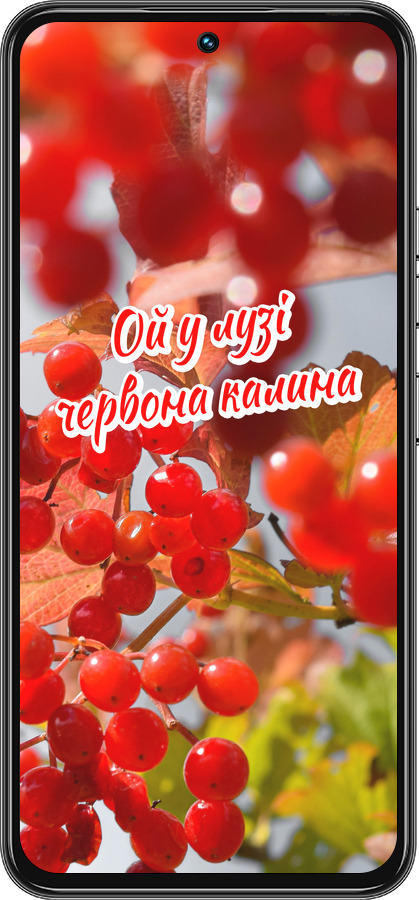 Силиконовый чехол Калина для Tecno Spark 30 Pro 4G - 5454u-3895 изображение 