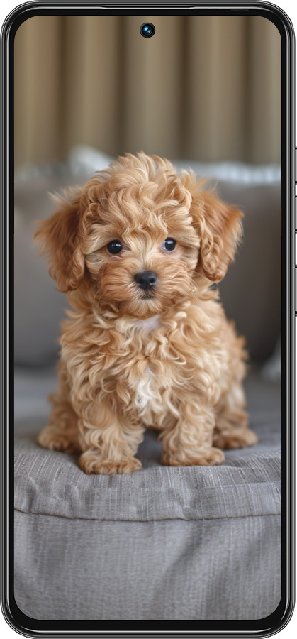 Силиконовый чехол Mini-maltipoo для Tecno Spark 30 Pro 4G - 6158u-3895 изображение 
