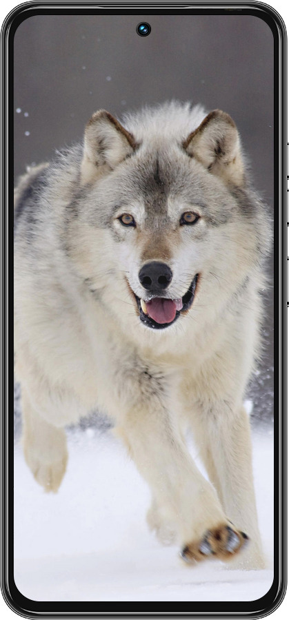 Силиконовый чехол Бегущий волк для Tecno Spark 30 Pro 4G - 826u-3895 изображение 