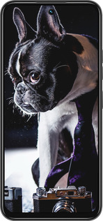 Силиконовый чехол Бульдог-фотограф для Tecno Spark 30C - 142u-3821 изображение 