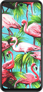Силіконовий чехол Tropical background для Tecno Spark 30C - 4016u-3821 изображение 