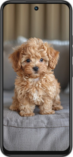 Силіконовий чехол Mini-maltipoo для Tecno Spark 30C - 6158u-3821 изображение 