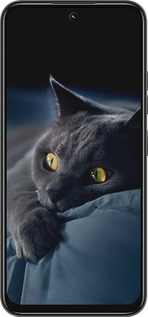 Силиконовый чехол Дымчатый кот для Tecno Spark 30C - 825u-3821 изображение 