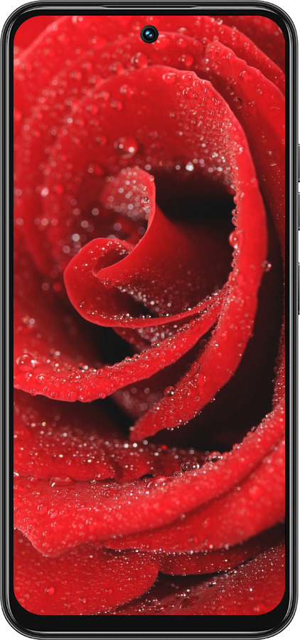Силиконовый чехол Красная роза для Tecno Spark 30C - 529u-3821 изображение 