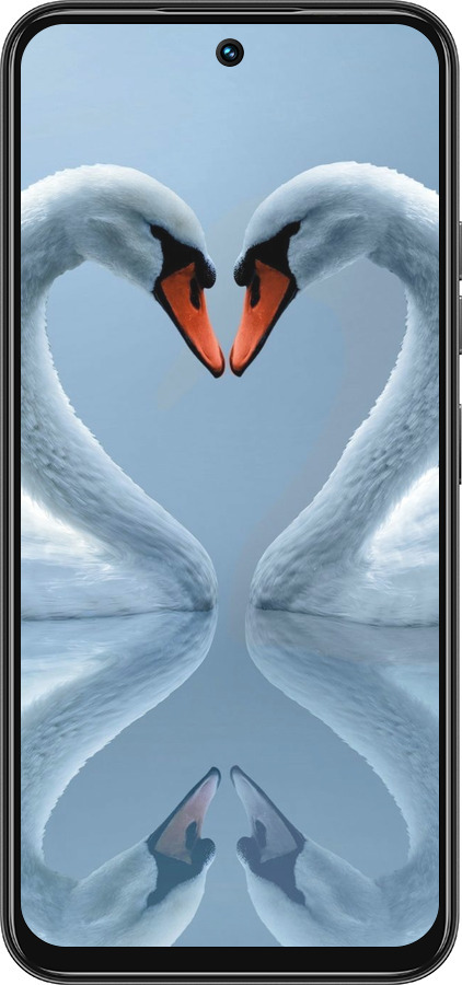 Силиконовый чехол Лебеди для Tecno Spark 30C - 6007u-3821 изображение 