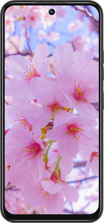 Силиконовый чехол Сакура для Tecno Spark 30C - 6029u-3821 изображение 
