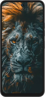 Силиконовый чехол Лев в сумерках для Tecno Spark 40 4G - 6154u-4116 изображение 