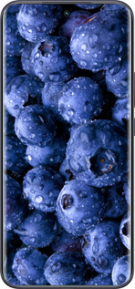Силиконовый чехол Голубика для Tecno Spark 40 Pro+ 4G - 4459u-4118 изображение 