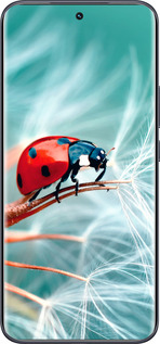Силиконовый чехол Божья коровка для Tecno Spark 40 Pro+ 4G - 6049u-4118 изображение 