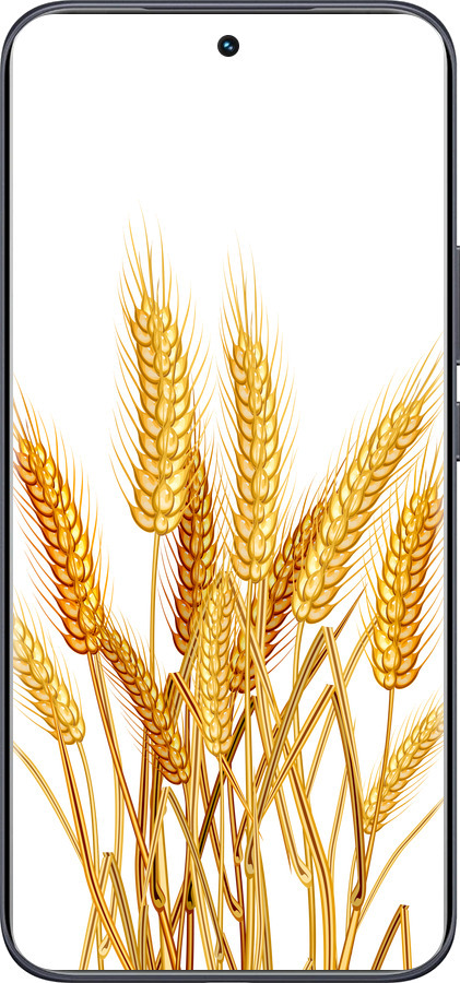 Силиконовый чехол Колоски пшеници для Tecno Spark 40 Pro+ 4G - 5866u-4118 изображение 