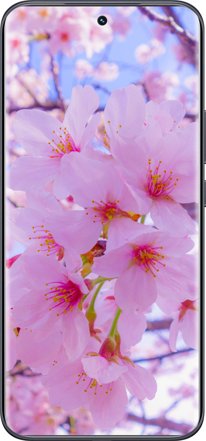 Силиконовый чехол Сакура для Tecno Spark 40 Pro+ 4G - 6029u-4118 изображение 