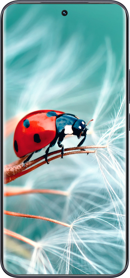 Силиконовый чехол Божья коровка для Tecno Spark 40 Pro+ 4G - 6049u-4118 изображение 