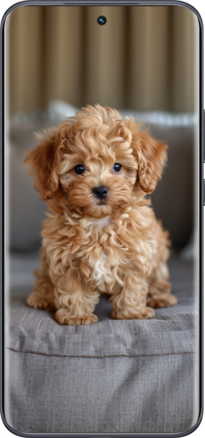 Силиконовый чехол Mini-maltipoo для Tecno Spark 40 Pro+ 4G - 6158u-4118 изображение 