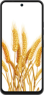 Силиконовый чехол Колоски пшеници для Tecno Spark 40C - 5866u-4127 изображение 