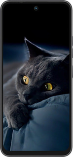 Силиконовый чехол Дымчатый кот для Tecno Spark 40C - 825u-4127 изображение 