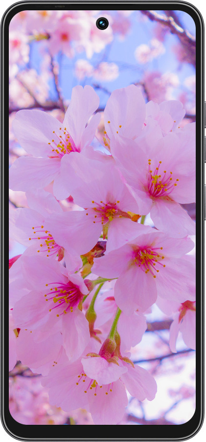Силиконовый чехол Сакура для Tecno Spark 40C - 6029u-4127 изображение 