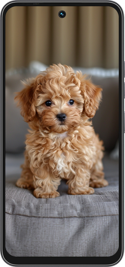Силіконовий чехол Mini-maltipoo для Tecno Spark 40C - 6158u-4127 изображение 