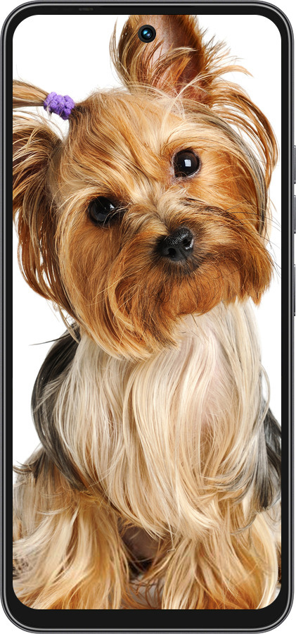 Силиконовый чехол Йоркширский терьер с хвостиком для Tecno Spark 40C - 930u-4127 изображение 