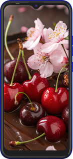 Силіконовий чехол Вишня у шоколаді для Tecno Spark 6 Go KE5 - 6698u-2452 изображение 