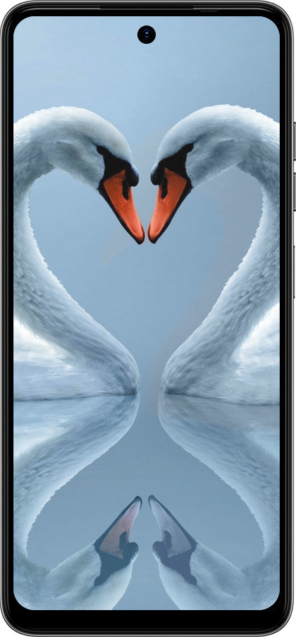 TPU чехол Лебеді для Tecno Spark Go 2024 - 6007b-3432 изображение 