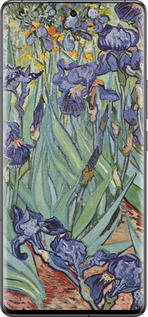 Силиконовый чехол Винсент Ван Гог. Ирисы для Vivo IQOO 12 PRO - 161u-3420 изображение 