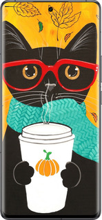 Силиконовый чехол Осенний кот для Vivo IQOO 12 PRO - 4026u-3420 изображение 