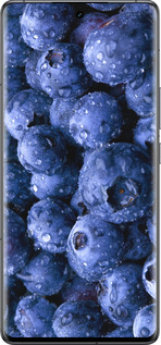 Силиконовый чехол Голубика для Vivo IQOO 12 PRO - 4459u-3420 изображение 