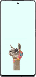 Силиконовый чехол Модная лама для Vivo IQOO 12 PRO - 4479u-3420 изображение 