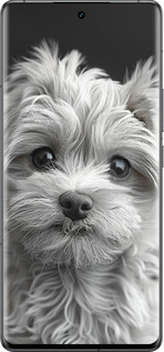 Силиконовый чехол Мальтипу на чорном фоне для Vivo IQOO 12 PRO - 6156u-3420 изображение 