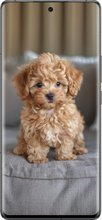 Силиконовый чехол Mini-maltipoo для Vivo IQOO 12 PRO - 6158u-3420 изображение 