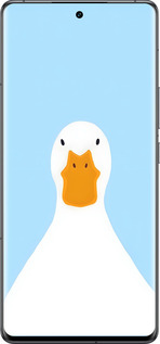 Силиконовый чехол Гусь для Vivo IQOO 12 PRO - 6350u-3420 изображение 