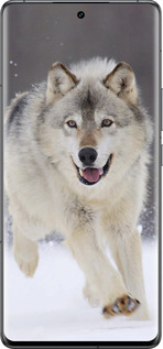 Силиконовый чехол Бегущий волк для Vivo IQOO 12 PRO - 826u-3420 изображение 