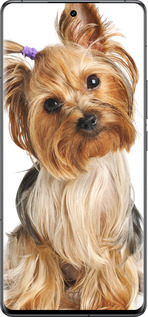 Силиконовый чехол Йоркширский терьер с хвостиком для Vivo IQOO 12 PRO - 930u-3420 изображение 