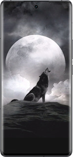 Силиконовый чехол Воющий волк для Vivo IQOO 12 PRO - 934u-3420 изображение 