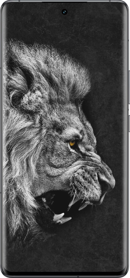 Силиконовый чехол Лев для Vivo IQOO 12 PRO - 1080u-3420 изображение 